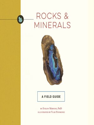 cover image of Rocks and Minerals
